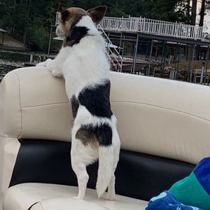 Meet your Posher, Pam